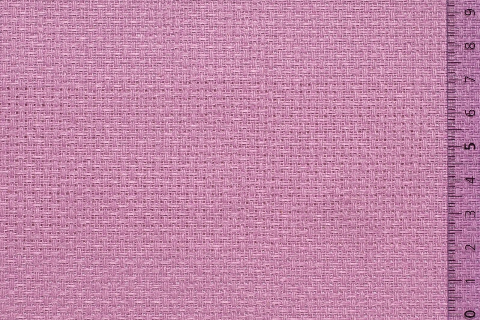 06AID40BLIxxxCOT[AIDAMAS 40](BABY LILAC)F